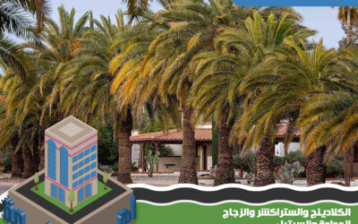 شركة تكريب النخيل بالرياض