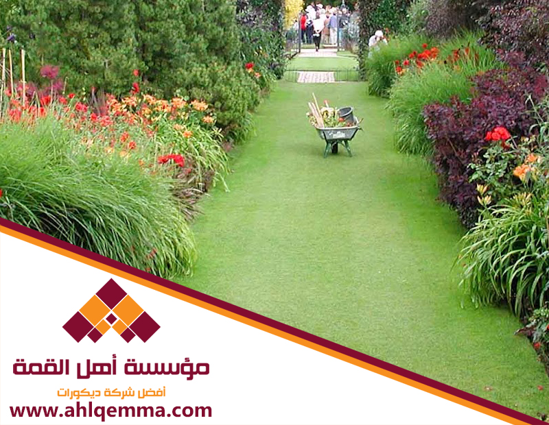 تركيب عشب طبيعي بالرياض