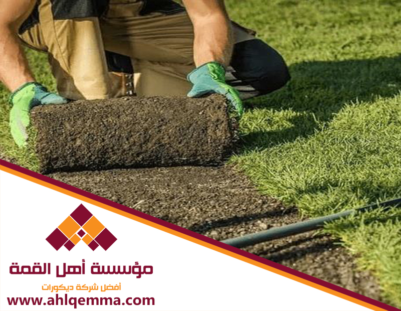 تركيب عشب طبيعي بالرياض 4 تركيب عشب طبيعي بالرياض